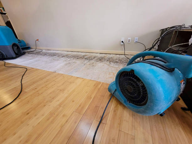Professional Water Removal technician working in Harmonsburg, PA